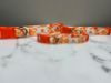 Picture of Mauna Kea Resorts PrideBites Dog Collar