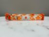 Picture of Mauna Kea Resorts PrideBites Dog Collar