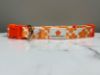 Picture of Mauna Kea Resorts PrideBites Dog Collar