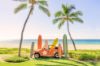 Picture of GRAY MALIN at the MAUNA KEA Collection
