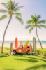 Picture of GRAY MALIN at the MAUNA KEA Collection