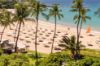 Picture of GRAY MALIN at the MAUNA KEA Collection