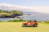 Picture of GRAY MALIN at the MAUNA KEA Collection