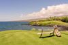 Picture of GRAY MALIN at the MAUNA KEA Collection