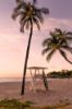 Picture of GRAY MALIN at the MAUNA KEA Collection