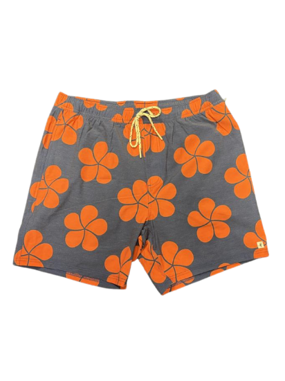 Picture of Toes on the Nose: Mauna Kea Resorts Men's Plumeria Volley