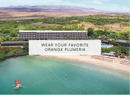 Picture for category Mauna Kea Resorts Logo Items